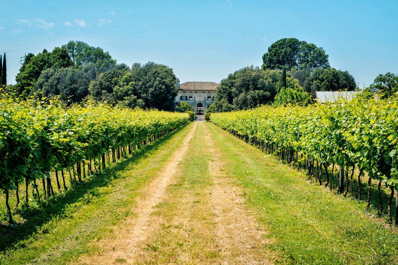 Relais Villa Sagramoso Sacchetti Verona Luaran gambar